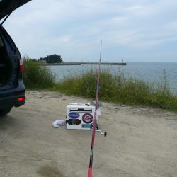 SW2は明神でキス狙い