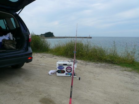 SW2は明神でキス狙い