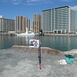 SW3回目の釣行は明石港へ