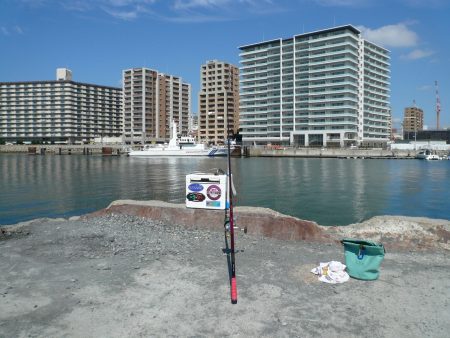 SW3回目の釣行は明石港へ