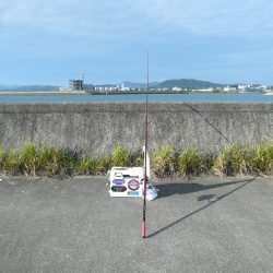 佐野新島へキス釣査