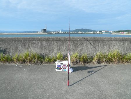 佐野新島へキス釣査