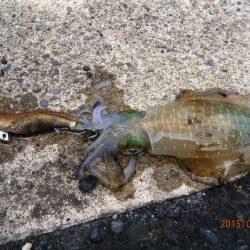 安心しました。