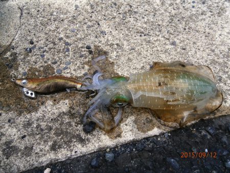 安心しました。