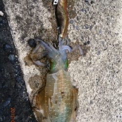 安心しました。