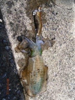 安心しました。