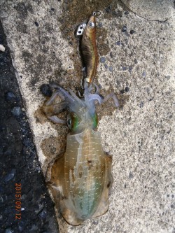 安心しました。