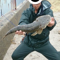 雨で仕事が休みになったので、朝二時間だけ