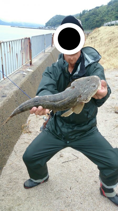 雨で仕事が休みになったので、朝二時間だけ