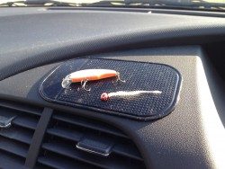 アジがいない…