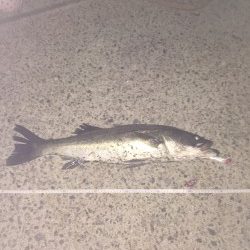 カウントダウン爆発