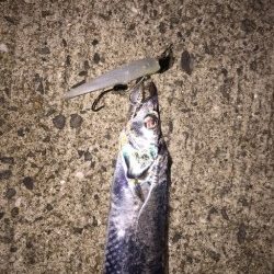 落とし込み！！