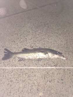 カウントダウン爆発