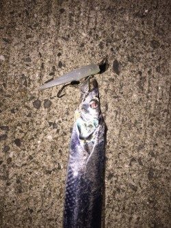 落とし込み！！