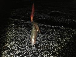 仕事終りに、、、