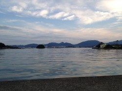 フカセでキビレGET!