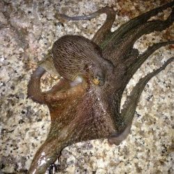 シルバーウィーク前夜