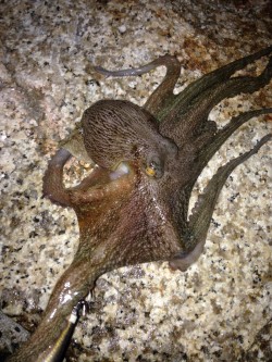 シルバーウィーク前夜