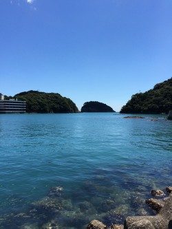 メタルマルゲーム