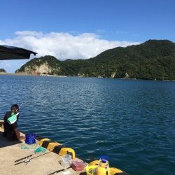 サビキにきたのに