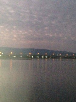 タチウオワインド