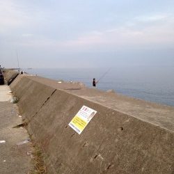 淡路島短時間ショアジギング
