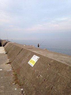 淡路島短時間ショアジギング