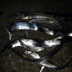 ムコイチパトロール