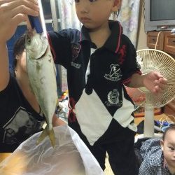 ツバス 太刀魚