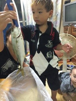 ツバス 太刀魚