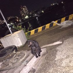 穴場漁港今年も開幕！