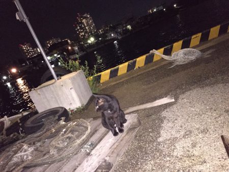 穴場漁港今年も開幕！