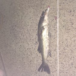 カウントダウン爆発