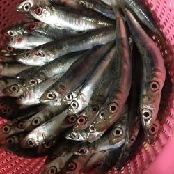 ファミリーフィッシング！！