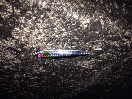 美味しいマゴチGET!