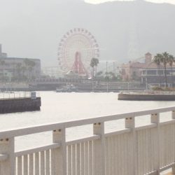 マリーナでも太刀魚！