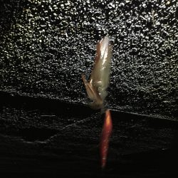 仕事終りに、、、