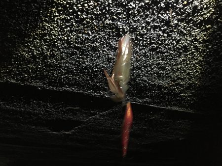 仕事終りに、、、