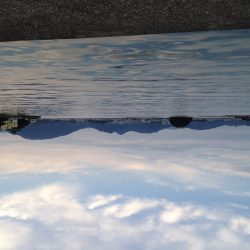 フカセでキビレGET!