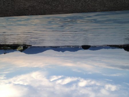 フカセでキビレGET!