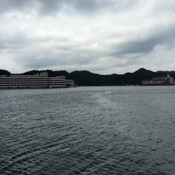 今日も、勝浦港へ