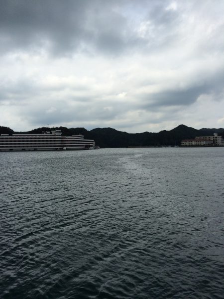 今日も、勝浦港へ