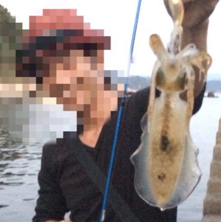 秋イカシーズン開幕戦