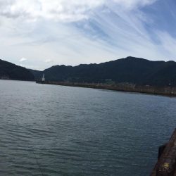 コンスタントにアタリあり