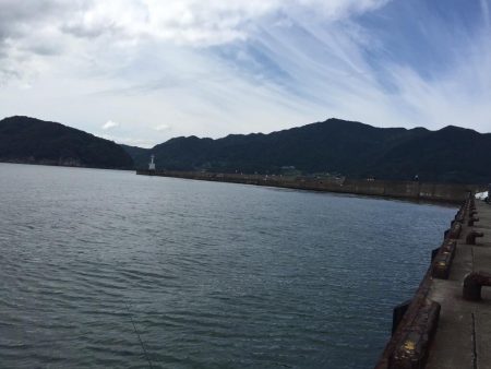 コンスタントにアタリあり