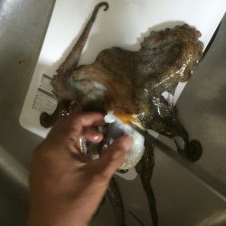 西明石に出張と言うことで！