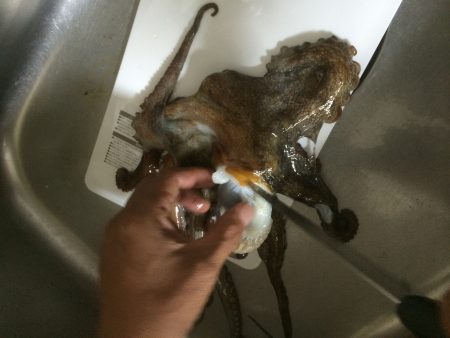 西明石に出張と言うことで！