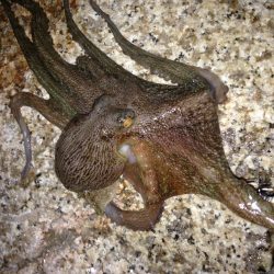 シルバーウィーク前夜