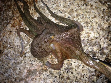 シルバーウィーク前夜