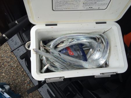 煙樹ヶ浜でショアジギングのち周辺で太刀魚